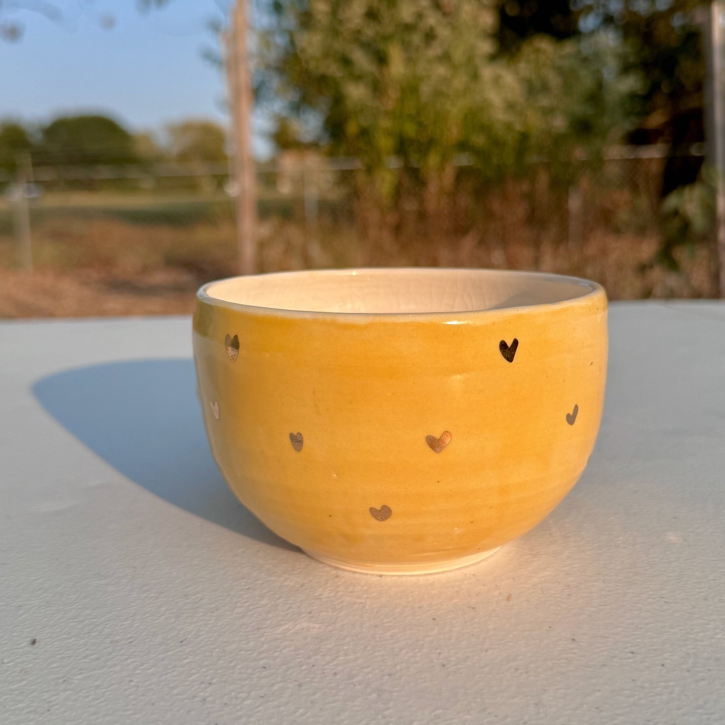 Adorable Duck Bowl with 14k Gold Hearts