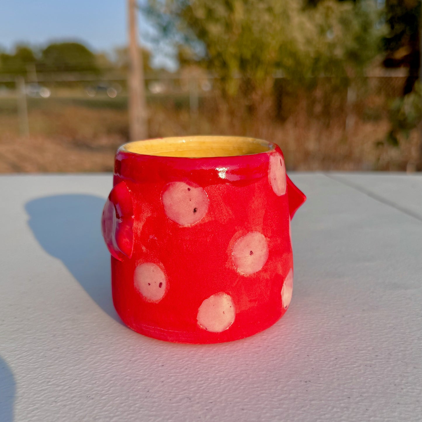 [Seconds] Polka-Dot Bat Ceramic Cup